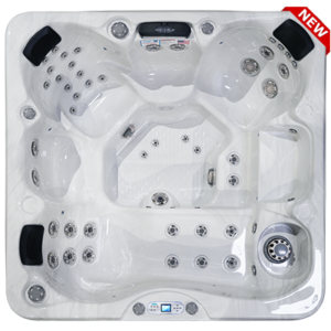 EC-849L Hot Tub