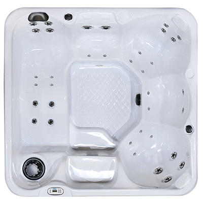 PZ-636L Hot Tub PZ-636L Hot Tub